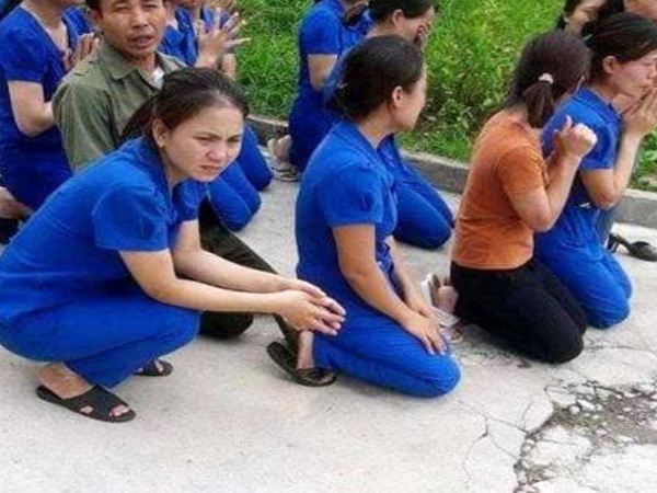 Cô giáo quỳ gối xin dạy tại Nghệ An: Tình tiết mới