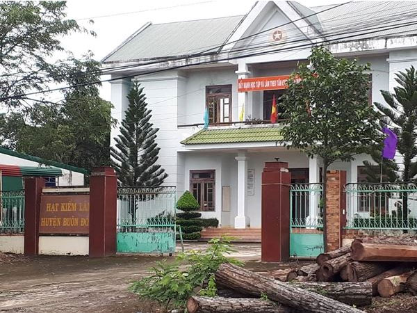 Vụ trùm gỗ lậu Phượng 'râu': Khởi tố thêm Hạt phó hạt kiểm lâm