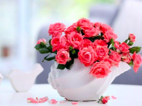 Thứ Năm của bạn (30/8): Song Ngư vô cùng cương quyết