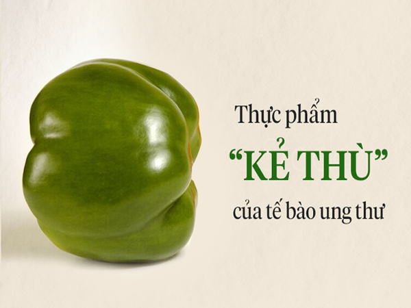 Trái cây rẻ tiền trong vườn Việt được Đông y coi là quả 'sát thủ' tiêu diệt tế bào ung thư