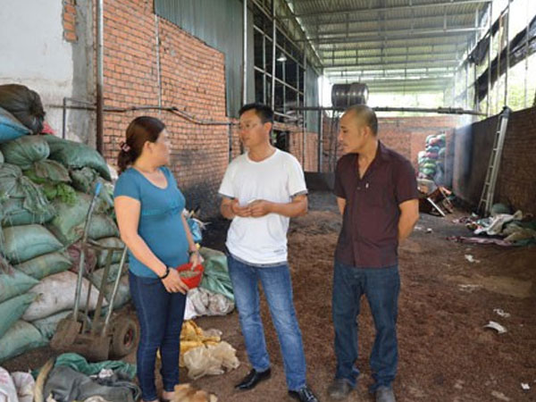 Kết luận điều tra vụ hồ tiêu trộn pin ở Đắk Nông
