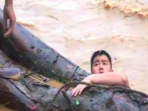Người dân Nghệ An vớt được cây gỗ samu dầu có giá hàng trăm triệu đồng gây xôn xao