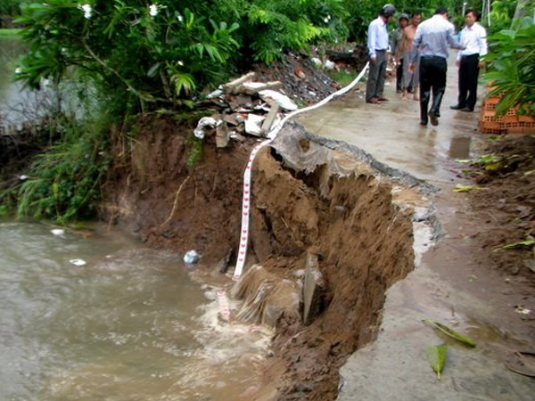 Căng mình chống sạt lở
