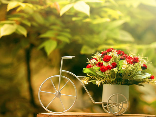Thứ Tư của bạn (5/9): Cự Giải được nhiều người giúp đỡ