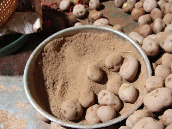 Sốc: 578 tấn khoai tây Trung Quốc nhập về Đà Lạt chỉ trong 90 ngày