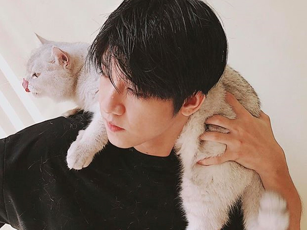 Khoe ảnh chụp với mèo, 9X Hải Phòng được khen đáng yêu hơn 'boss'