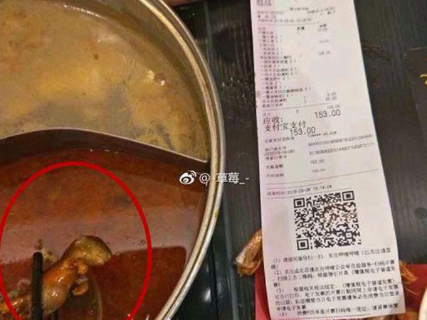 Bà bầu phát hiện chuột trong nồi lẩu, chủ quán "hồn nhiên" hứa bồi thường tiền... phá thai