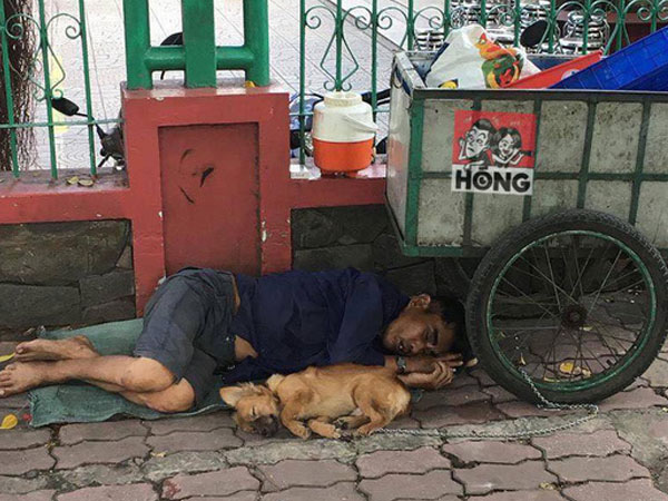 Bức ảnh chó không chê chủ nghèo gây xúc động cho đến khi dân mạng phát hiện ra chi tiết lạ