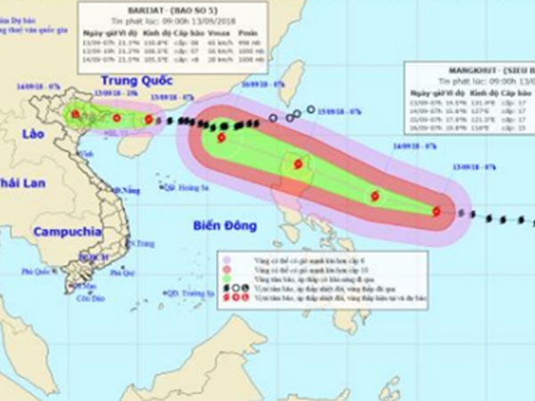 Bão số 5 đang cách Móng Cái (Quảng Ninh) hơn 300km