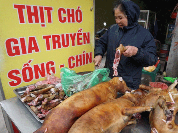 Nơi cả làng ăn thịt chó ngày Tết ở Hà Nội: 'Đã là tục lệ thì giỗ, Tết nhất định phải có thịt chó để ăn'