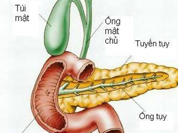 Viêm tụy cấp nguy hiểm thế nào?