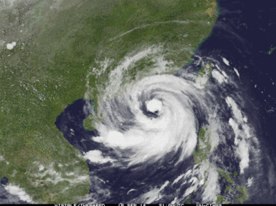 Phó thủ tướng yêu cầu không chủ quan khi ứng phó bão số 6 - Mangkhut