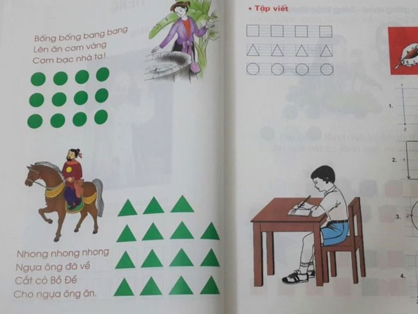 Vì sao TPHCM dừng triển khai chương trình Công nghệ Giáo dục của GS Hồ Ngọc Đại?