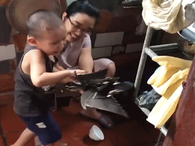Thấy mẹ định làm thịt vịt, cậu bé đã có hành động khiến người ta vừa buồn cười vừa thương