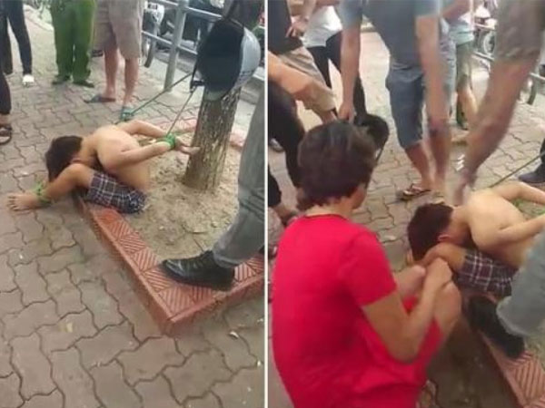 Công an tạm giữ hình sự 3 đối tượng tham gia trói bé trai vào gốc cây ở Hà Nội