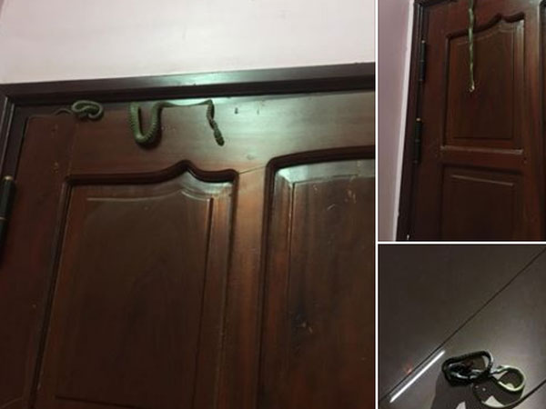 Gặp cảnh kinh dị lúc nửa đêm, cô gái không nao núng mà còn làm hành động này khiến cánh mày râu cũng phải ngưỡng mộ