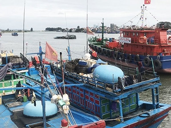 Tăng nguy cơ nợ xấu từ khoản vay đóng mới tàu cá