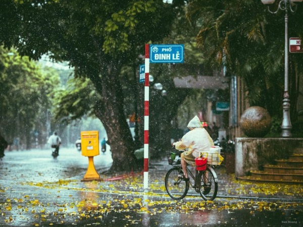 Kênh truyền hình Discovery đến Việt Nam
