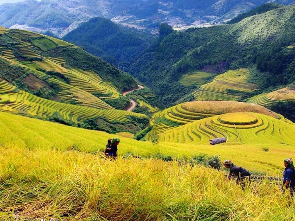 Tạm dừng tổ chức Tuần Văn hóa – Du lịch Mường Lò và Lễ hội khám phá danh thắng quốc gia ruộng bậc thang Mù Cang Chải năm 2018