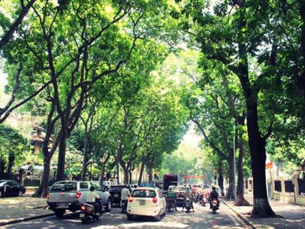Thời tiết cuối tuần: Ngày có nắng đẹp, đêm có mưa rào và dông