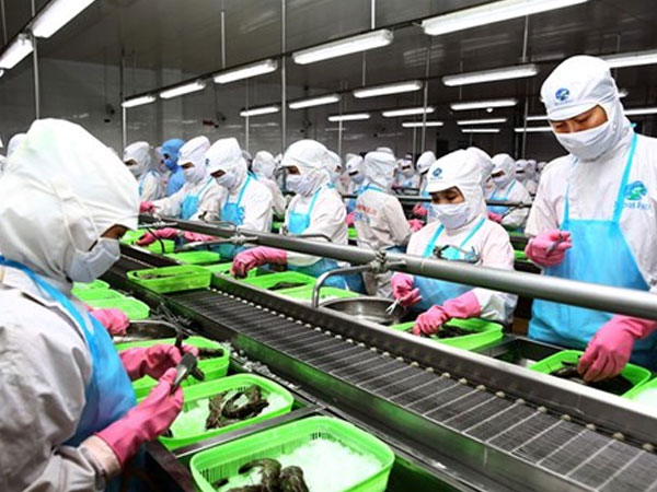 Tỷ lệ tín dụng cho các doanh nghiệp tư nhân giảm sâu