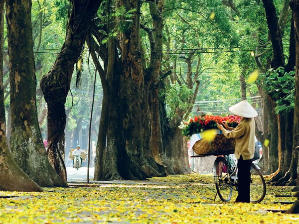 Thứ Bảy của bạn (29/9): Kim Ngưu đạt thành tựu trong công việc