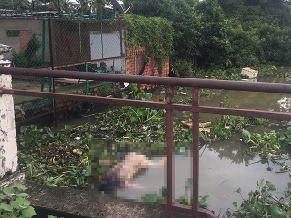 Cần thủ bỏ chạy khi thấy thi thể nam giới không mặc đồ trôi trên sông Sài Gòn