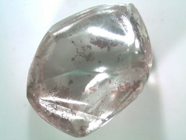 Cụ bà vô tình nhặt được kim cương khủng khi dạo chơi công viên