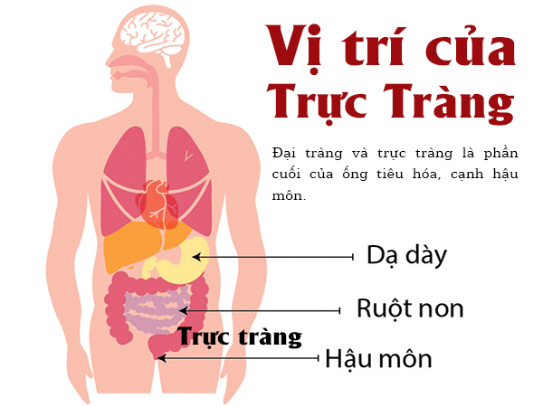 5 dấu hiệu điển hình cảnh báo khối u ung thư đại trực tràng đang phát triển 'thần tốc'