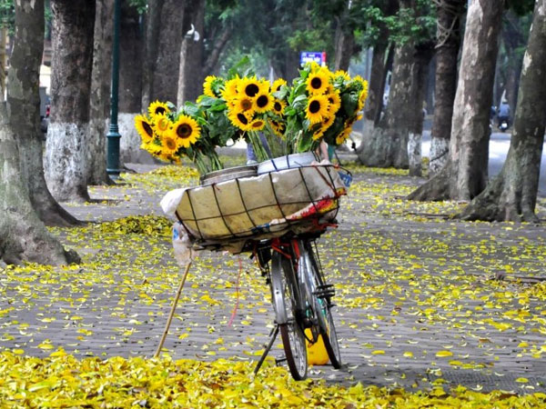 Thứ Tư của bạn (3/10): Kim Ngưu cần bình tĩnh khi gặp khó khăn tài chính