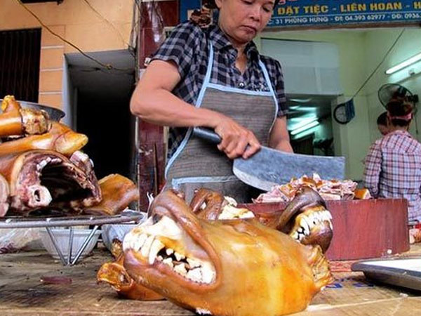 Báo Đức viết về 'văn hóa ăn thịt chó' ở Việt Nam
