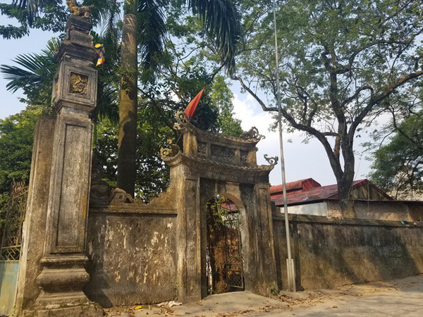 Diễn biến mới vụ người dân xin bán đấu giá 'cụ sưa' trăm tỷ