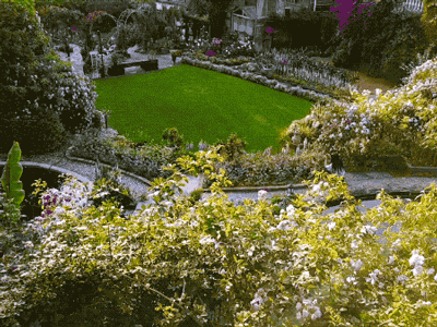 Khu vườn rộng 5000m² đẹp như cổ tích được cải tạo từ bãi đất hoang của người đàn ông 70 tuổi