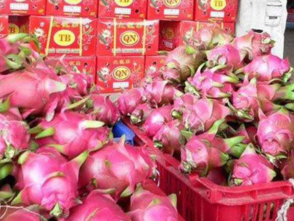 Trung Quốc thuê đất Lào, Campuchia sản xuất: Thế mạnh Việt Nam lao đao