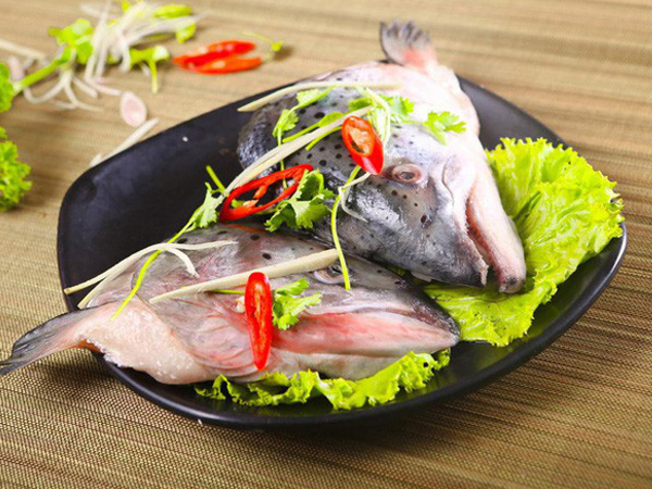 Những bộ phận của cá có thể gây nguy hiểm