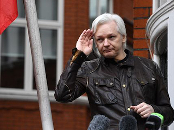 Ông chủ Wikileaks kiện Ecuador vì bị buộc phải chăm mèo, dọn nhà tắm