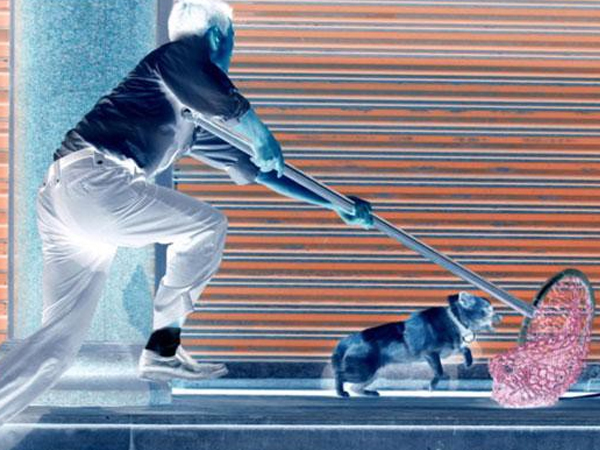 Thanh niên trộm chó bị người dân truy đuổi, đánh đập tới chết ở Hải Phòng