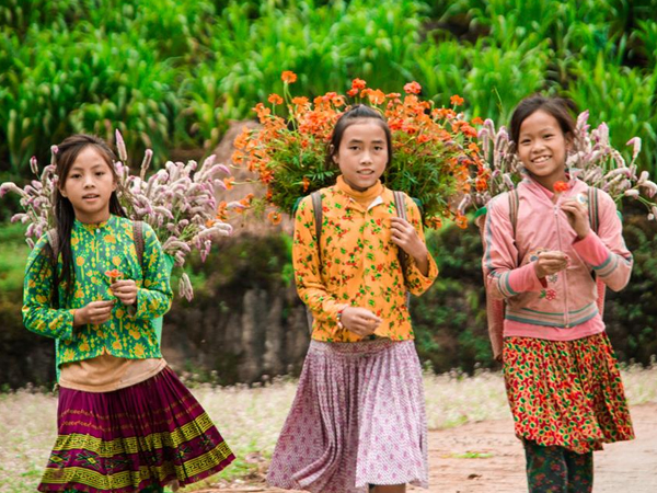 Video Thu tháng 10: Lên Hà Giang ngắm hoa tam giác mạch