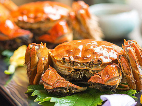 Cua lông Hồng Kông gần 1 triệu đồng/2 lạng về Việt Nam dân tình đua nhau mua