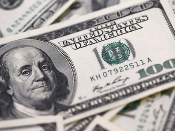 Yêu cầu kiểm tra tính hợp pháp của vụ đổi 100 USD phạt 90 triệu đồng