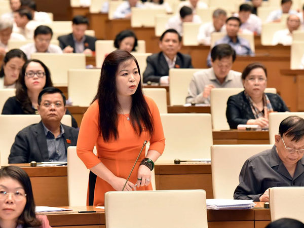 'Không quốc gia nào mỗi tỉnh, thành phố có một dự án như Việt Nam'
