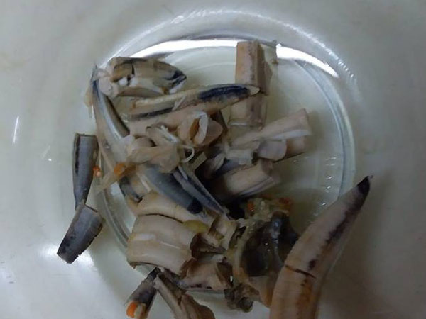 Bà nội nấu cháo cho cháu thả cả 'thứ vứt đi' này vào, hội chị em tranh cãi về lý do thật đằng sau