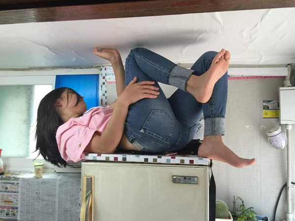 Cô vợ bị bắt nằm ngửa trên nóc tủ lạnh và lời lý giải đặc biệt từ người chồng