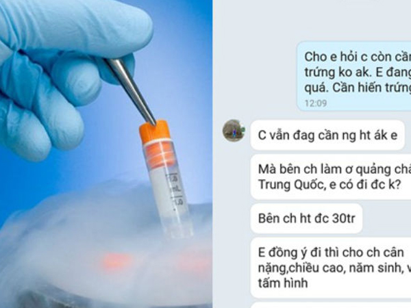 Bán trứng xuyên biên giới: Thót tim hành trình dụ 'siêu cò' lộ mặt