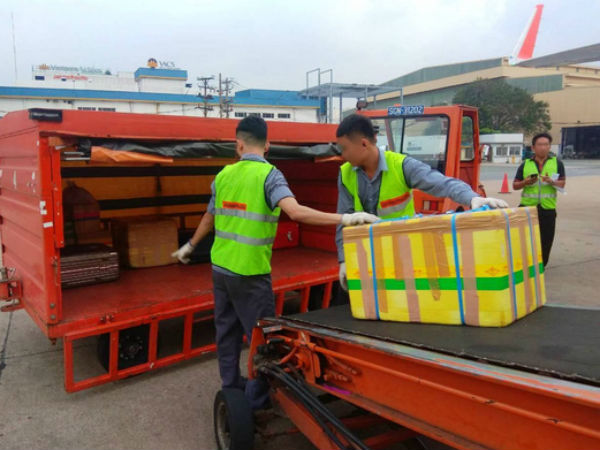 Ném gói hàng, 2 nhân viên bốc xếp ở sân bay Tân Sơn Nhất bị sa thải