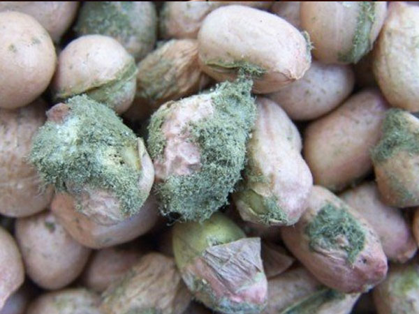 Loại chất độc gây ung thư trong bếp mọi gia đình, bạn có biết để loại bỏ?