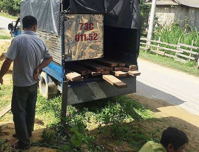 Kiểm lâm nổ súng bắt gỗ lậu, một người trúng đạn