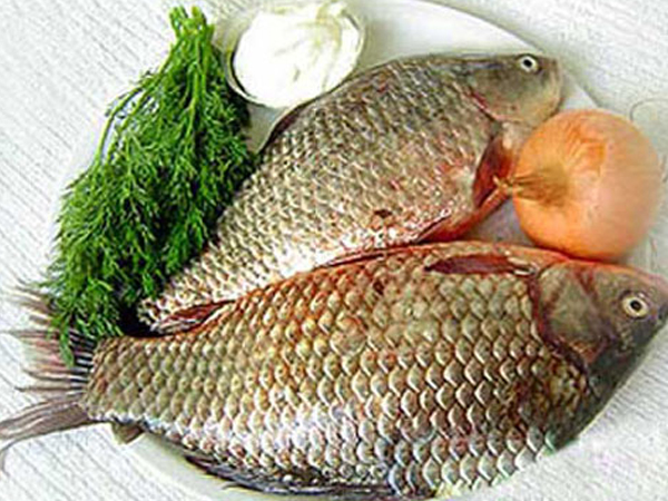 Cá chép - Bổ âm, chữa bệnh phụ nữ