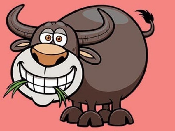 7 tuổi này mà sinh con năm Kỷ Hợi 2019 thì ăn lên làm ra, tài lộc ầm ầm