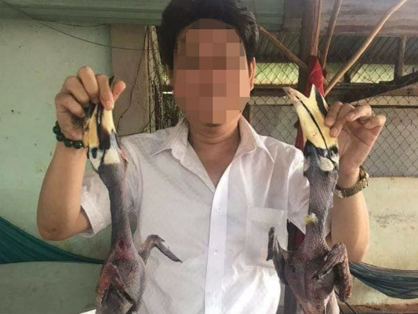 Doanh nhân bị 'tố' ăn thịt chim Phượng Hoàng Đất: Chỉ là chụp hình đăng lên mạng để sống ảo?
